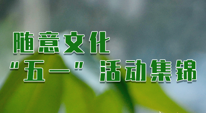 案例 I 2023 随意文化五一活动精彩回顾